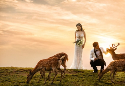 昆明芳妮豆丁摄影公司诚聘化妆师